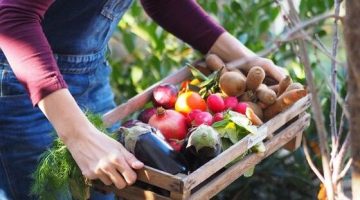 5 Svet bedniciek- ovocie-a-zelenina-od-farmarov